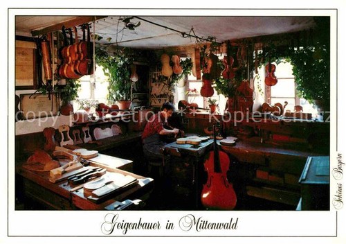 Violino liutaio mittewald - violino,