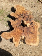 legno-wood di ulivo/olivo