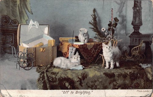 Family history postcard - -,