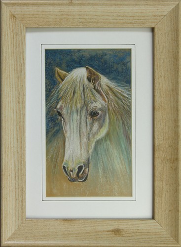 Pastello cavallo bianco - di,