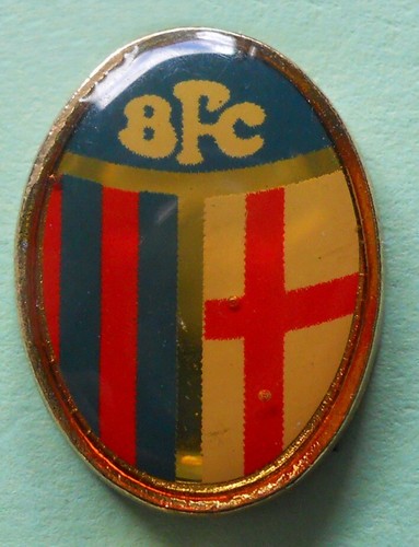 Distintivo spilla pin badge - pin,