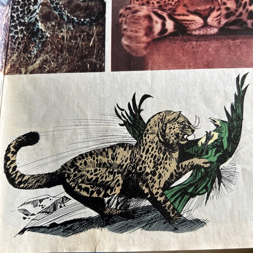 Sergio toppi leopardo e - sergio,