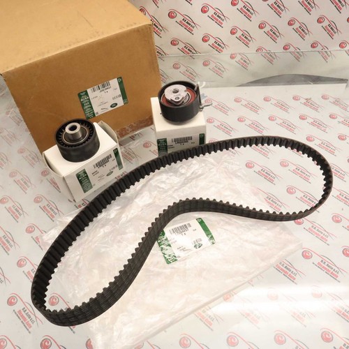Kit distribuzione jaguar - distribuzione,