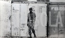 Foto vintage Animali