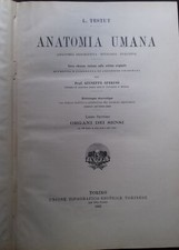Anatomia Umana. Libro settimo