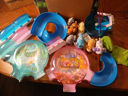 Zhu pets - pets, criceto