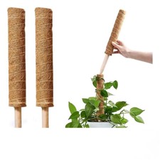 2 Pezzi Fibra di Cocco Muschio Palo Supporto Coir Totem Supporto per Piante Rampicanti