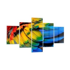 Quadro su Vetro 125x70cm piuma