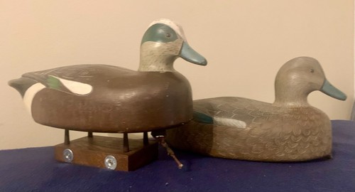 Coppia esche anatra widgeon - coppia,
