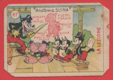 FIGURINA CONCORSO ELAH N°67