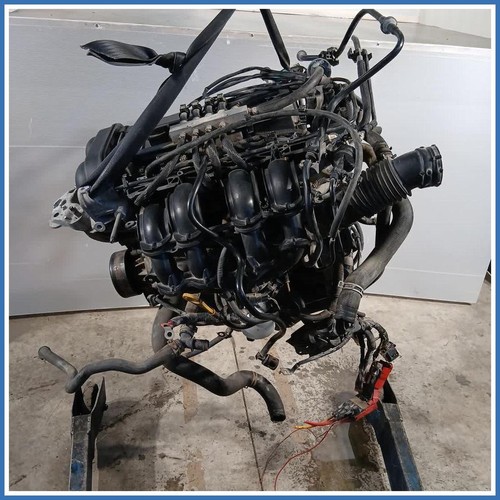 Motore completo rtja 71kw - completo, ford