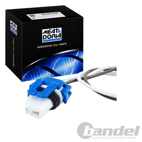 Meat doria spina kit - &,