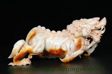 Antica statua leone cinese