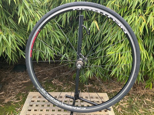 Ruota posteriore campagnolo - posteriore,