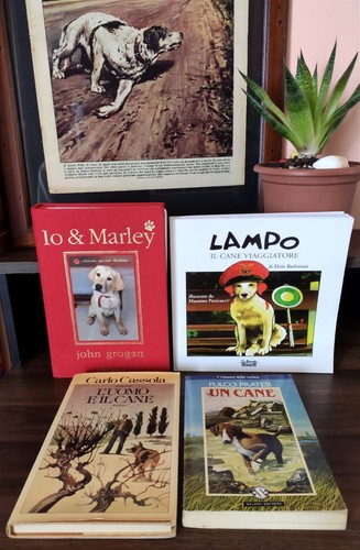 Lotto libri cult sui cani - 4,