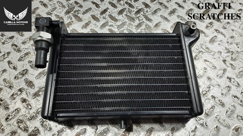 Radiatore olio ducati - radiatore,