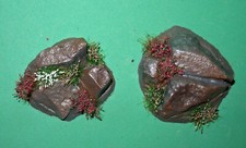 Rocky Outcrops (2) - OO/HO