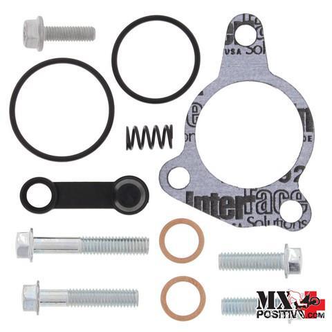 Kit revisione cilindro - revisione,