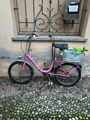Bicicletta graziella - bicicletta,