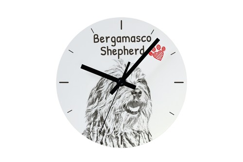 Cane pastore bergamasco - pastore,