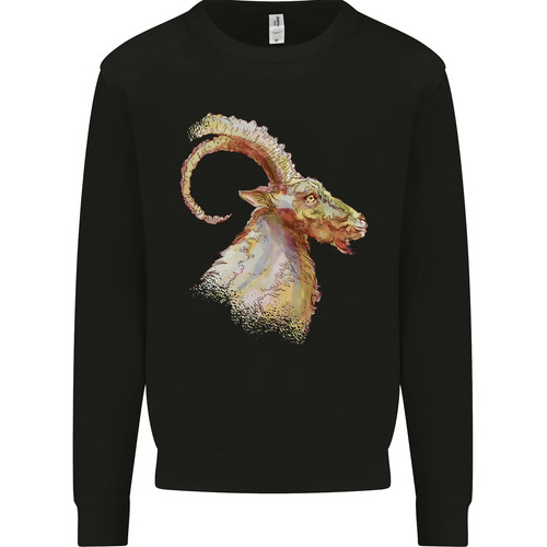 Maglione sweatshirt da - un,