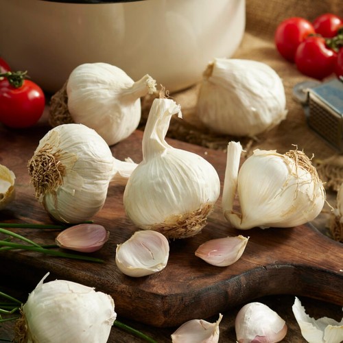 Aglio piantare cipolla - da,