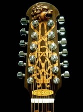 Chitarra acustica Blueberry