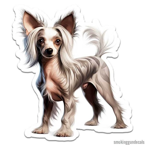 Cane crestato cinese - ,, adesivo