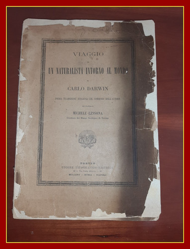 1à ediz darwin - ediz.,