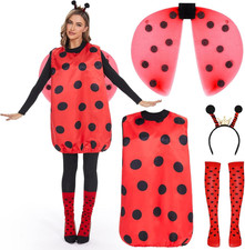 Costume Coccinella, Costumi