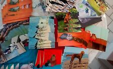 Lotto 53 cartoline NON viaggiate tema cani, gatti, animali