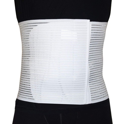 Fascia addominale post - fascia,