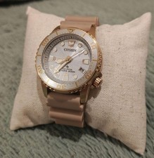 Citizen Promaster Citizen