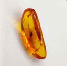 AMBRA NATURALE FOSSILE CON INSETTO 4,17 GRAMMI CENTIMETRI 3,5