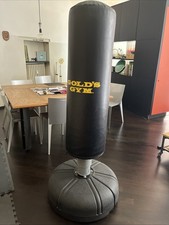 Sacco da boxe da terra Gold’s Gym