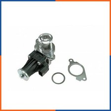 Valvola EGR per FIAT | 555223