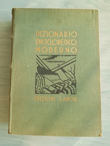Libro dizionario enciclopedico - libro,