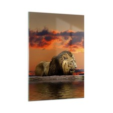 Quadro su Vetro 50x70cm Leone