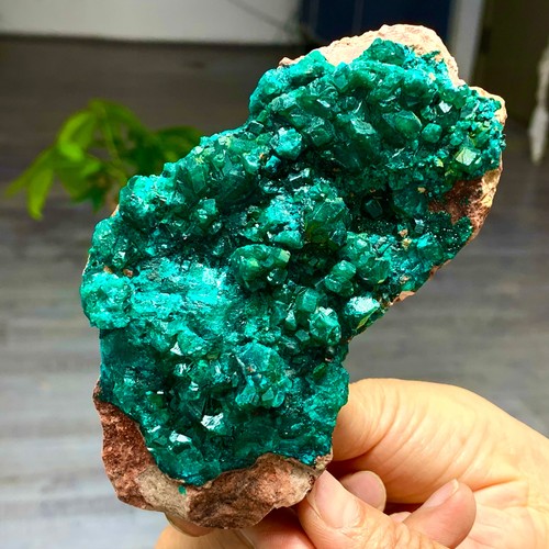 378g dioptasi verde naturale - dioptasi,
