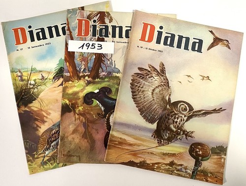 Lotto riviste caccia diana - 3,