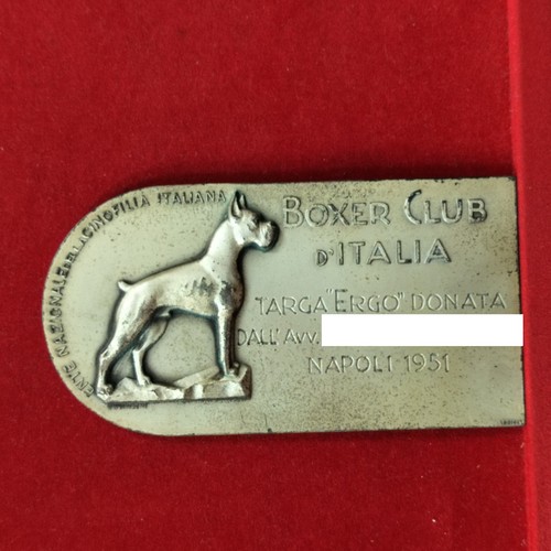 Cane boxer club napoli placca - cane,