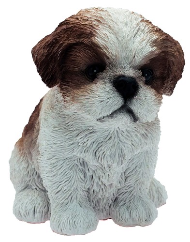 Cane barboncino - cane,