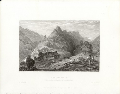 Balsille colle guignevert - balsille, ,