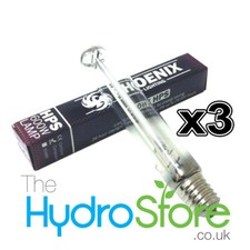 Lampadina lampada Phoenix 600W