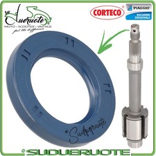 Paraolio ruota posteriore - paraolio,