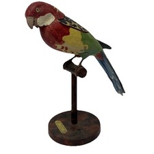Eastern Rosella Parrot