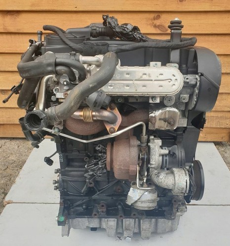 Motore volkswagen tdi bkp - motore,