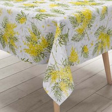 Cerata Tovaglia 160 CM