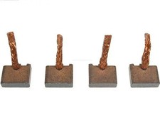 Spazzole motorino di