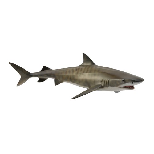 Collecta squalo tigre - squalo,